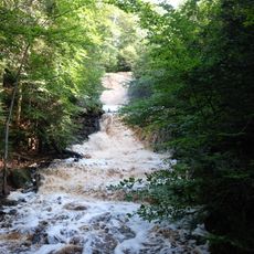 Halle-Hunnebergs rasbranter