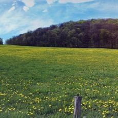 Willinger Berg