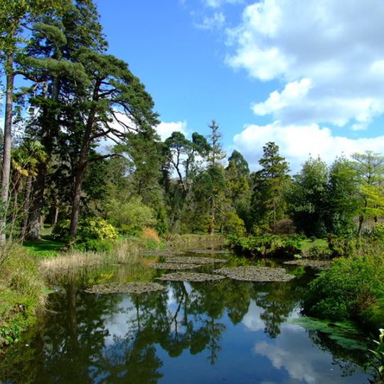 Fota Island
