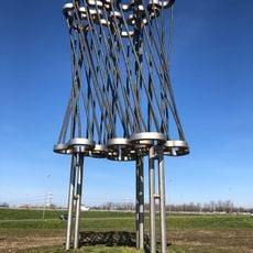 Can't see the Wood for the Trees