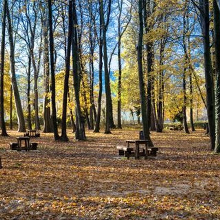 Parc de l'Épervière