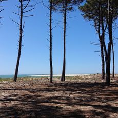 La Lagune