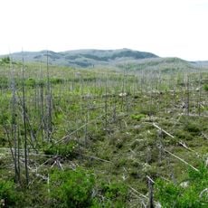 Thomas-Fortin Ecological Reserve