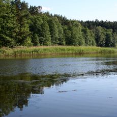 Nature reserve Jezioro Ciche
