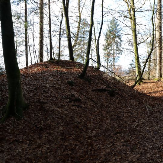 Hügelgräbergruppe Pistorf