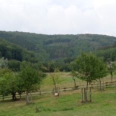Erkensruhrtal mit Nebenbächen und Felsen am Oberseeufer