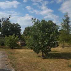 Bilokrynytsia Arboretum