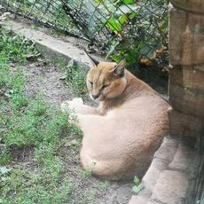 Zoobotanischer Garten