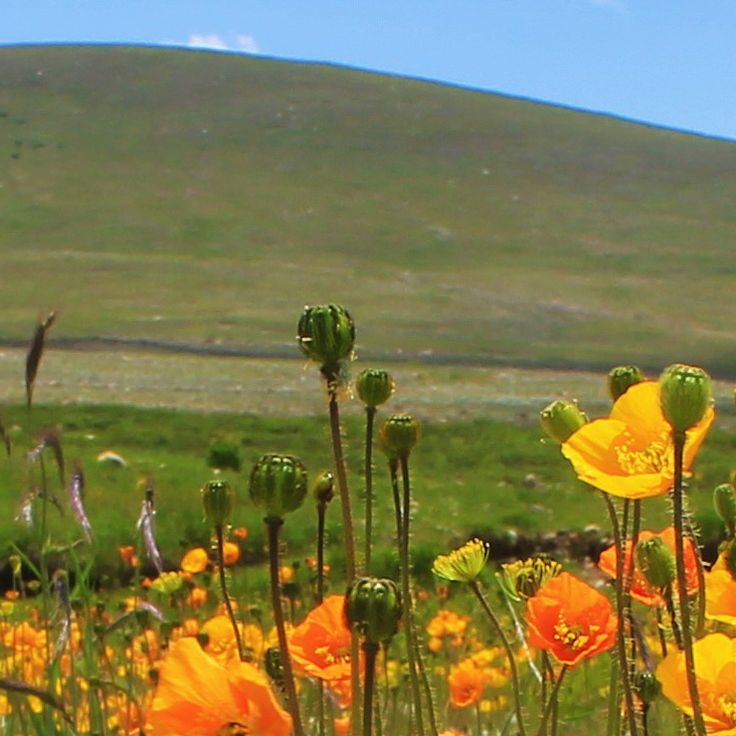 Parque Nacional Deosai