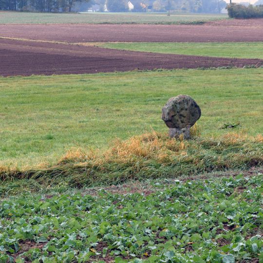 Steinkreuz bei Weitersdorf