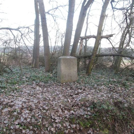 Kříž na okraji lesa nad Chráštovicemi