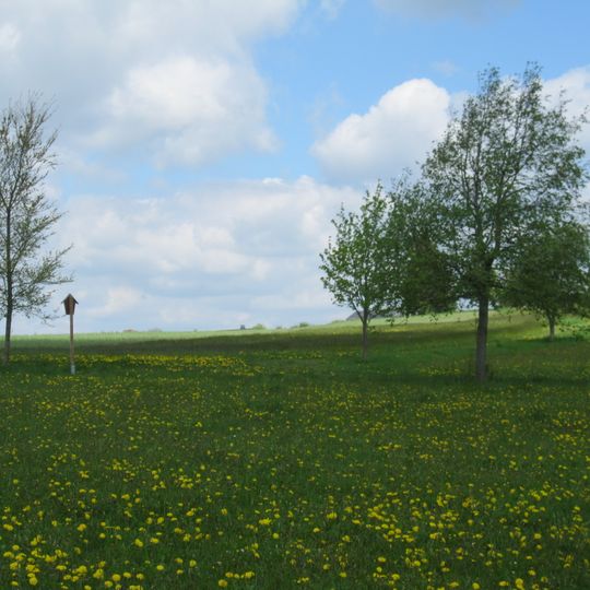 Moore südlich von Schönheide