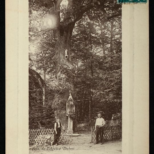 Chêne de la Vierge à Chaville