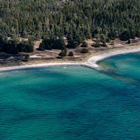 Mullvalds strandskog