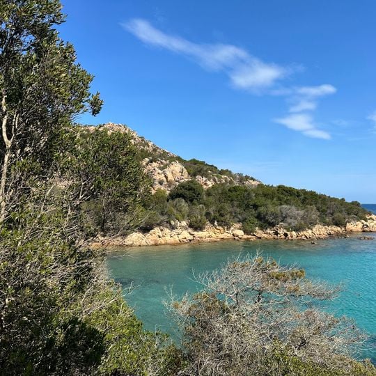 Spiaggia di Punta Cardinalino
