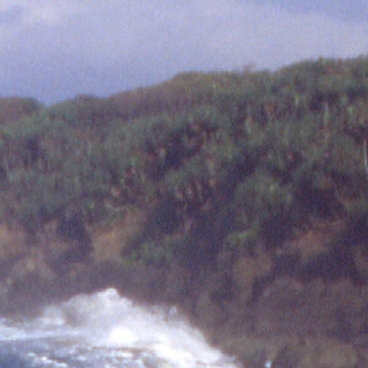 Ujung Kulon National Park