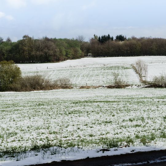 Dicke Steine von Engelrod