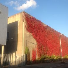 Nationaal Lucht- en Ruimtevaartlaboratorium, Windtunnelgebouw