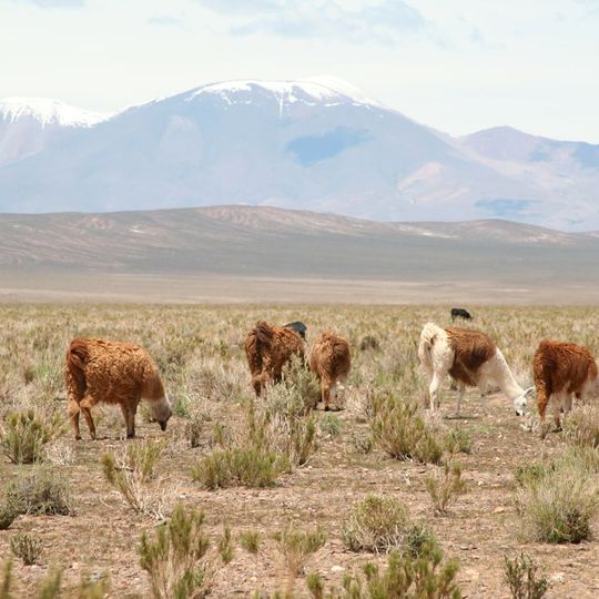 Dipartimento di Los Andes