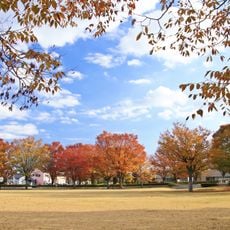 Kiyomida Park