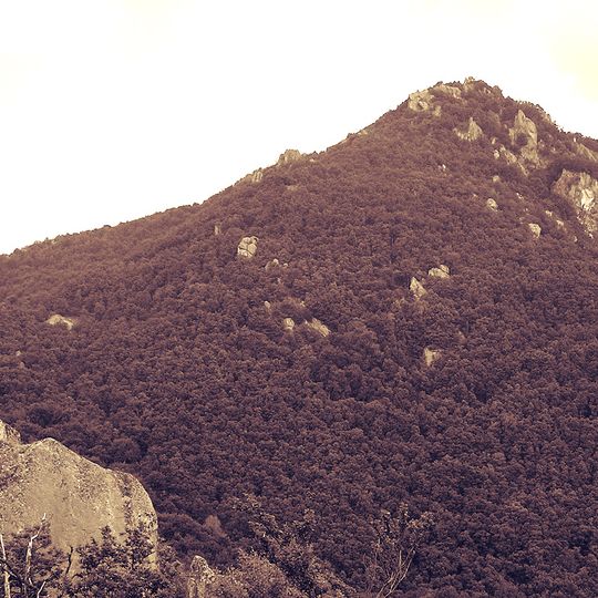 Сборови грамади