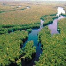 Waccamaw National Wildlife Refuge