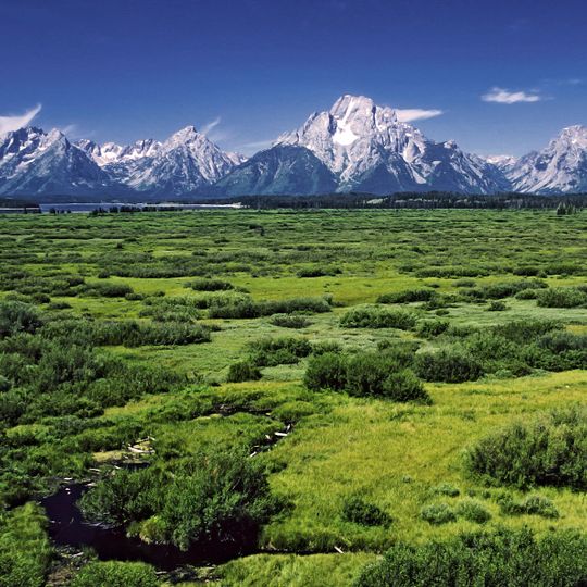 Punto di vista panoramico