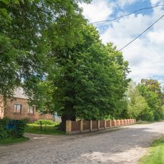Secular Linden Trees Natural Monuments
