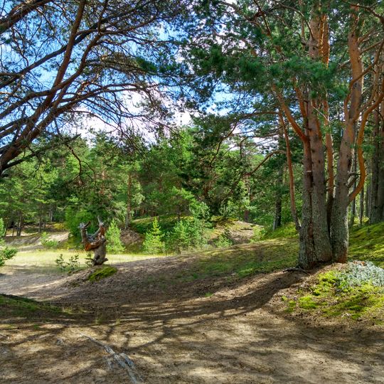 Шелтозерский берег