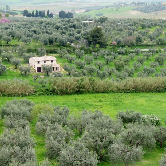 Maremma