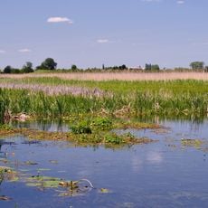 Chornohuzka nature reserve