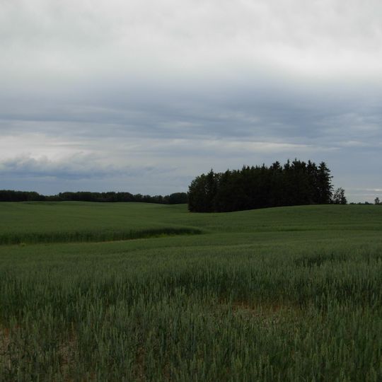 Municipal District of Peace No. 135