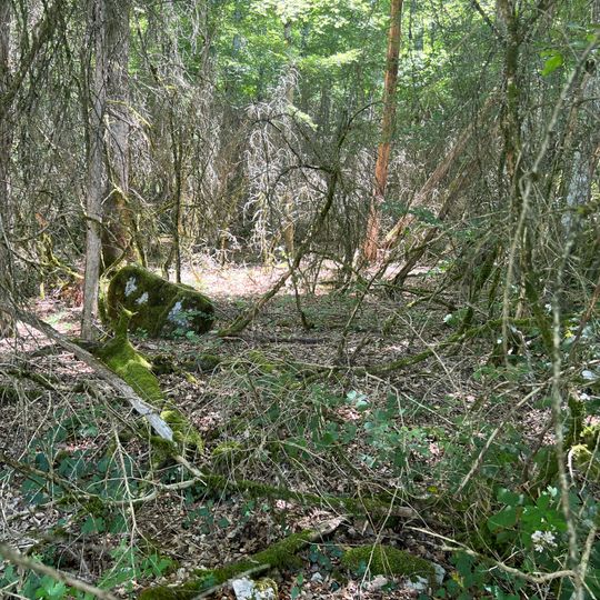 Bagneux cup-marked stone