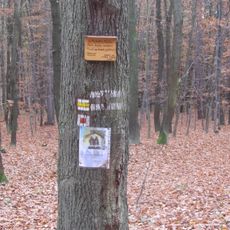 Naučná stezka U Petra a Pavla