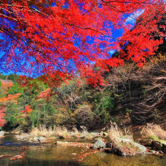Yōrō Keikoku Okukiyosumi Prefectural Natural Park
