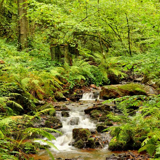 Lannenbachaue bei Scheiden und Umgebung