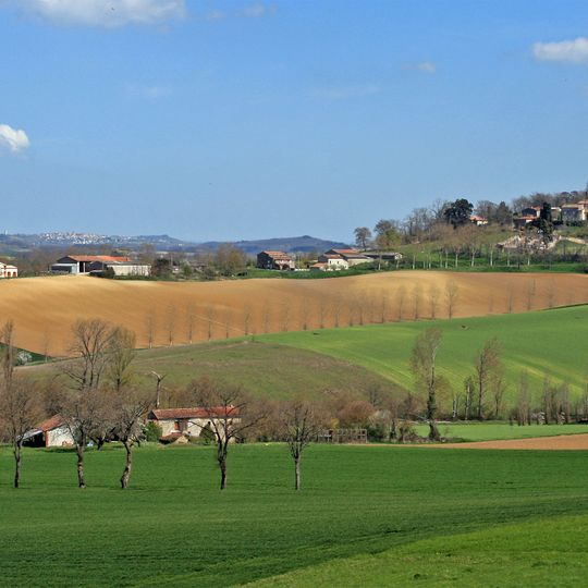 Canton of Cuq-Toulza