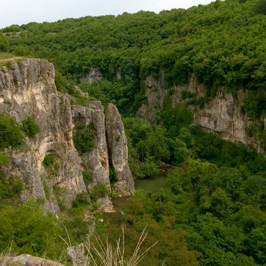 Каньона на река Негованка