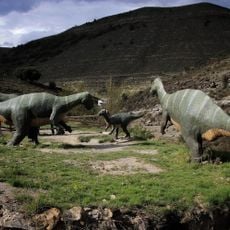 Centro Paleontológico de Enciso