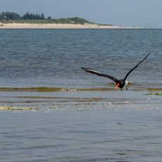 Ramsar-Gebiet S-H Wattenmeer und angrenzende Küstengebiete