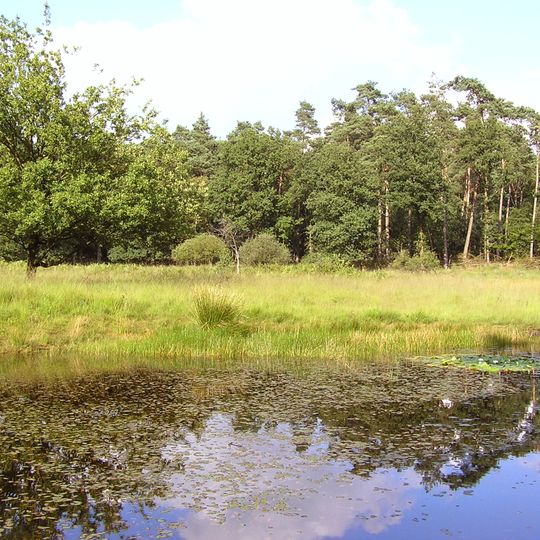 NSG Witte Berge und Deutener Moore