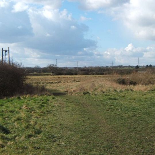 Woodham Fen
