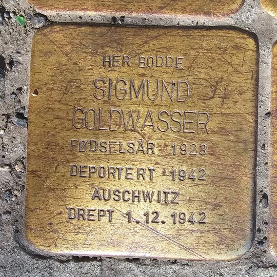 Stolperstein en memoria de Sigmund Goldwasser