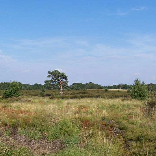 Mechelse Heide