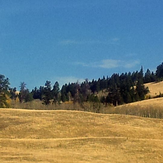 Distretto regionale di Thompson-Nicola