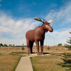 Mac the Moose