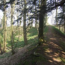 Wychbury Ring