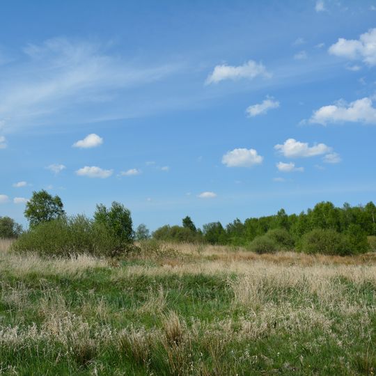 Vaaler Moor und Herrenmoor