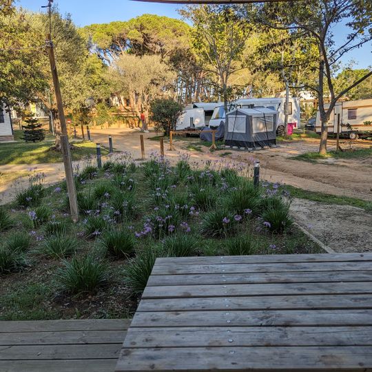 Castell Park