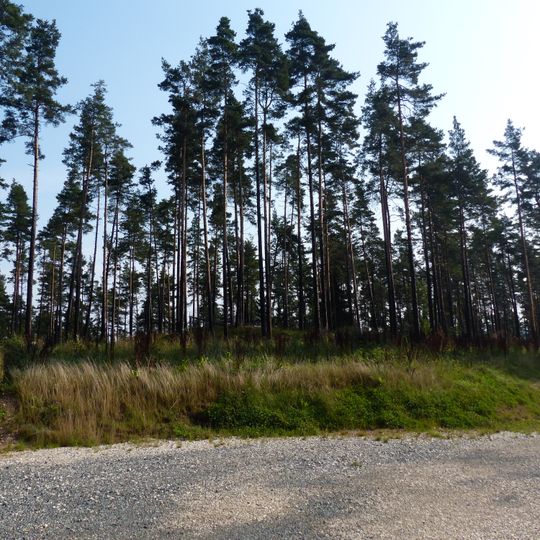 Burgstall Schlossberg